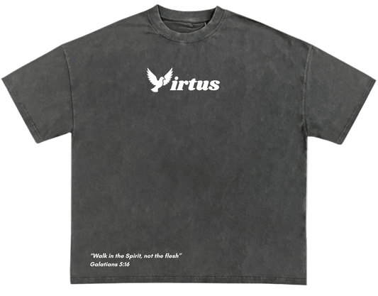 Holy Spirit Virtus